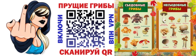 Галлюциногенные грибы мицелий  Калининск 